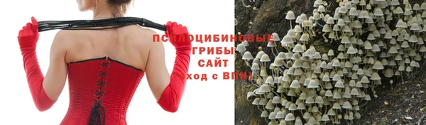 COCAINE Гусь-Хрустальный