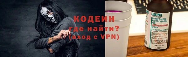 2c-b Гусев