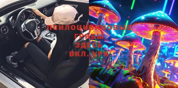 2c-b Гусев