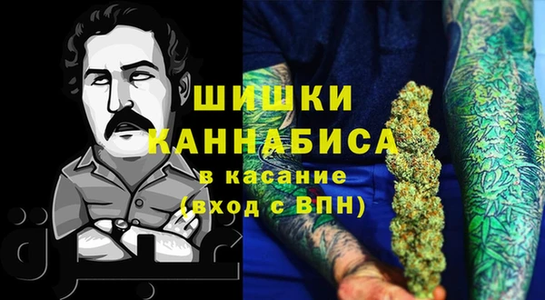 2c-b Гусев